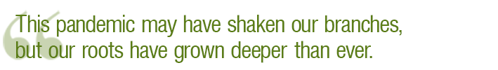 Quote: This pandemic may have shaken our branches, but our roots have grown deeper than ever.