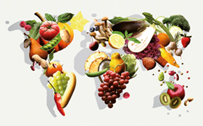 News-culinary-olympics-MOBILE-292a