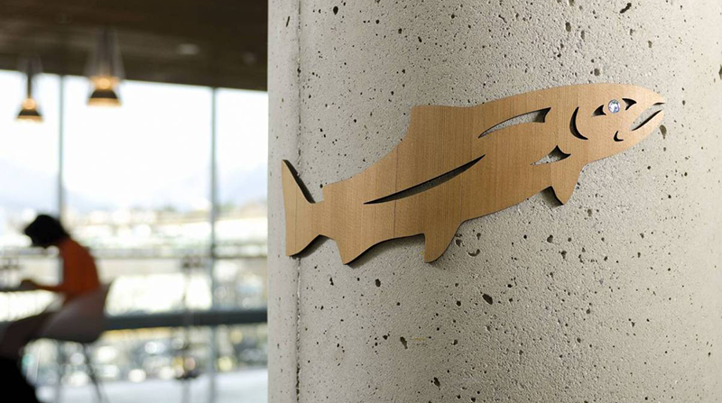 News-Indigenous-art-salmon-BWY-800