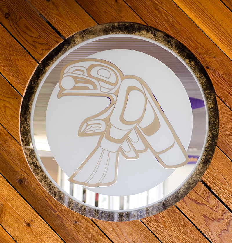 Raven-Brings-the-Light-800